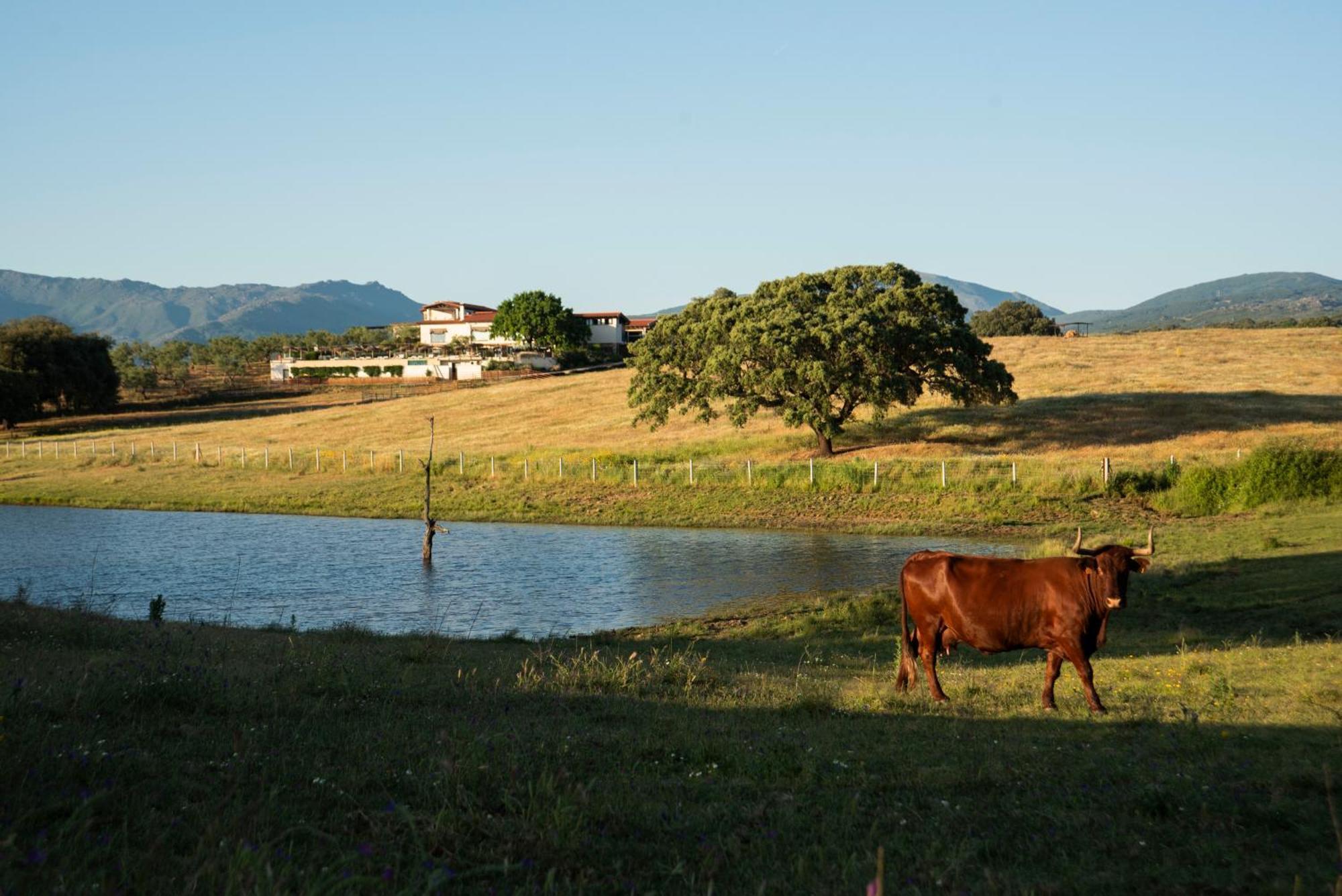 Habitat Cigueena Negra Valverde del Fresno Ngoại thất bức ảnh